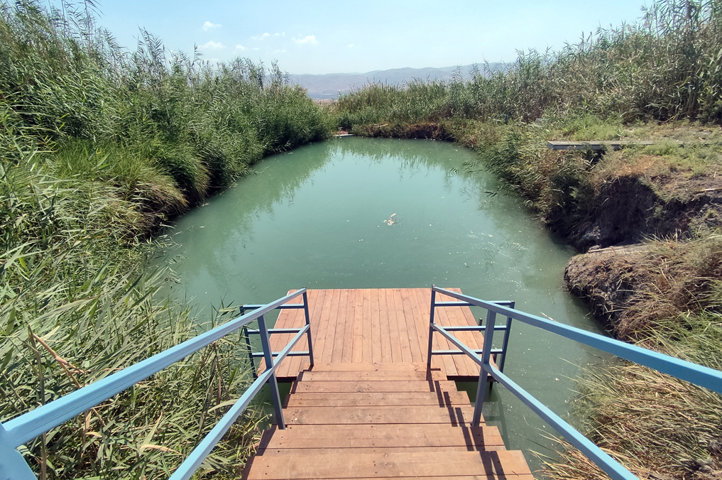 המעיינות הכי מפתיעים בישראל: מדרגות עץ ודק ממש על המים, במעיין עין גרר