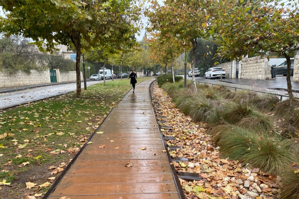 טיילת פארק המסילה בימי שלכת