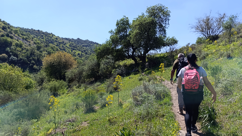 יוצאים בשביל צר בדרך למפל נחל מיצר