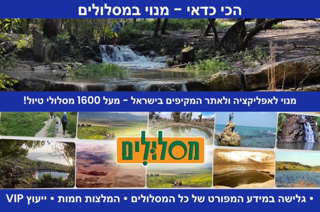 הכי כדאי מנוי במסלולים