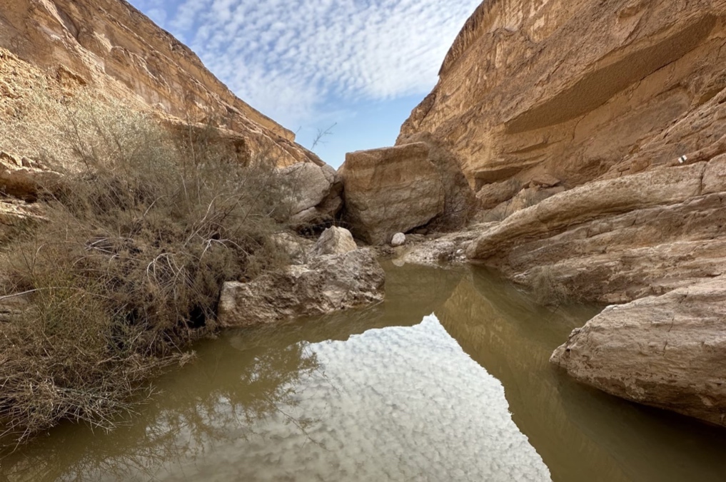 גבים בנחל גוב בין המצוקים לאחר שיטפון. צילום: מאיה שגב
