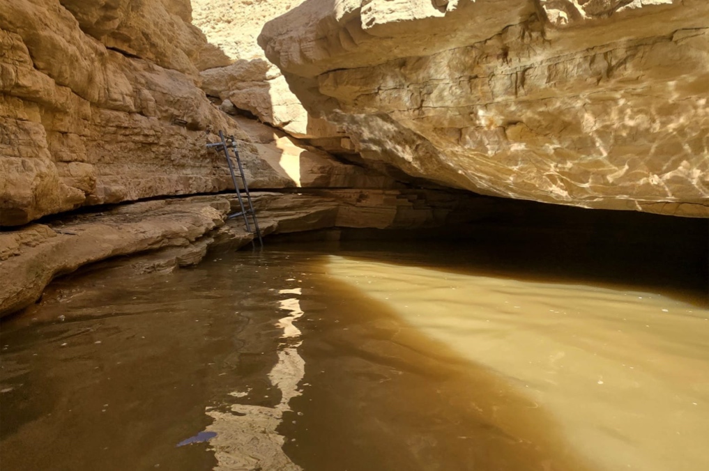 הנחלים זרמו, הגבים מלאים: נחל גוב במלוא תפארתו - מראה הגבים בנחל גוב לאחר שיטפון. צילום: מאיה שגב