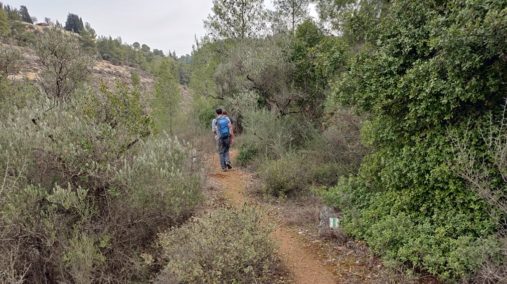 שביל סובב עין כרם