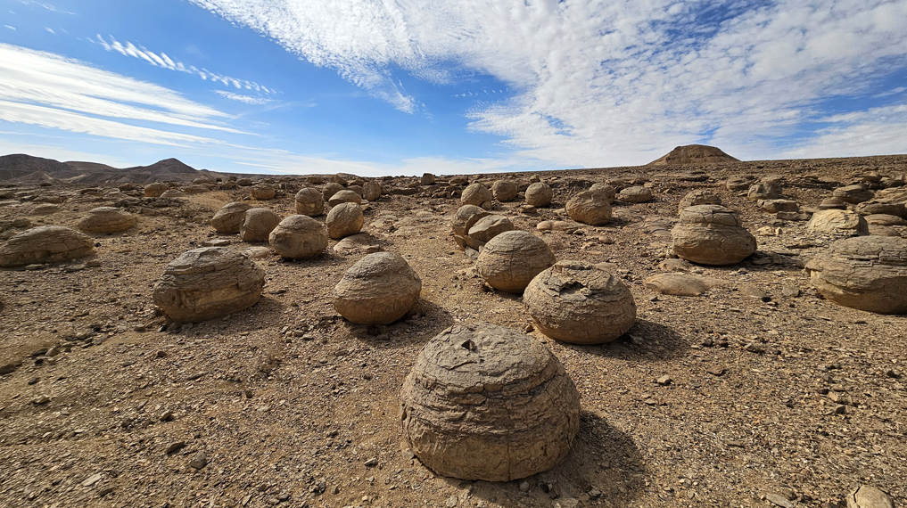 אינספור בולבוסי אבן עגולים פזורים בשטח נחל קדר. צילום: אמיר כהן