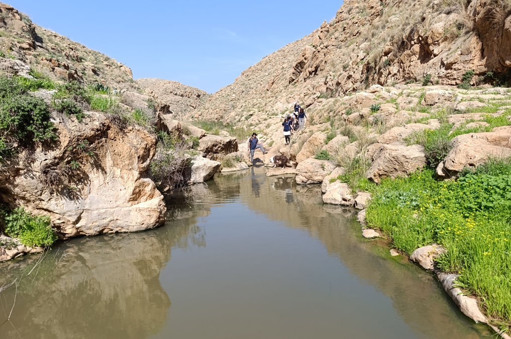 ואדי אל אחמר - בריכה יפהפייה בנחל. חוויות בלתי נשכחות בטבע