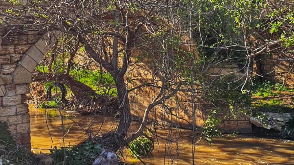 גשר עות׳מני מעל נחל ציפורי, הגשר ממוקם מתחת לטחנת הנזירים. צילום: נירית רז