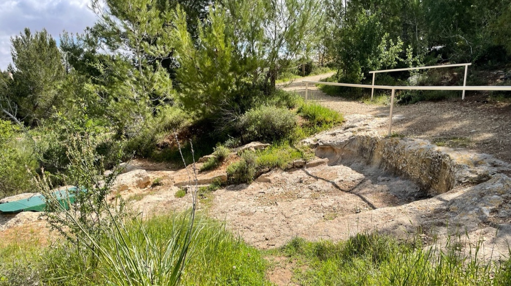 הגת החשמונית לצד השביל המדרון הצפוני של חורבת ארזה