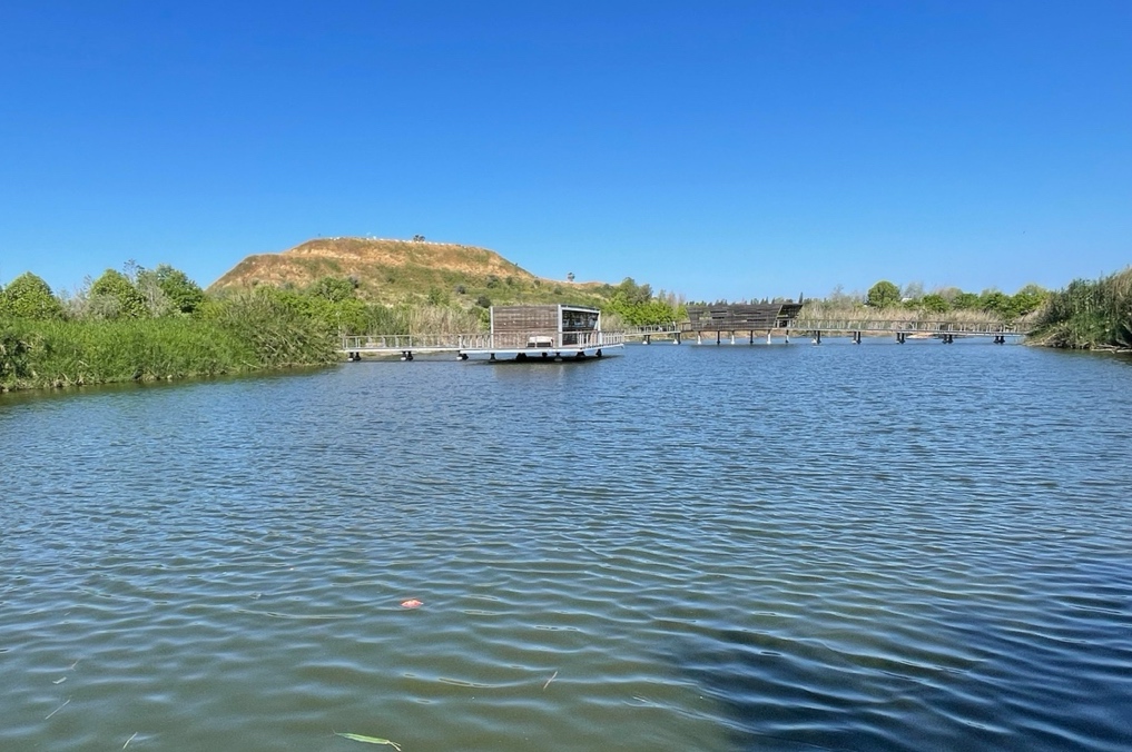 הפארק האקולוגי בהוד השרון - מראה האגם ביום בהיר