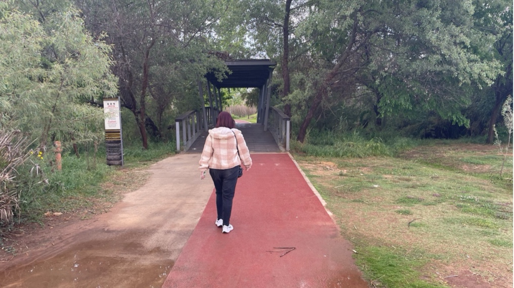 הולכים אל גשר העץ החוצה מעל נחל הדר