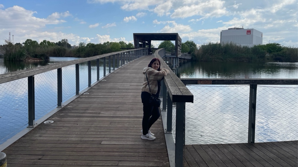 הגשר החוצה את האגם בפארק ובמרכזו פרגולה מעץ