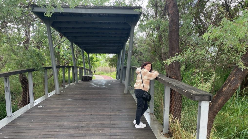 עולים על גשר העץ החוצה מעל נחל הדר <del>|5|</del>