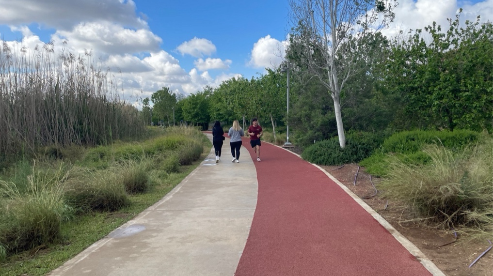 השביל המעגלי סביב האגם בפארק