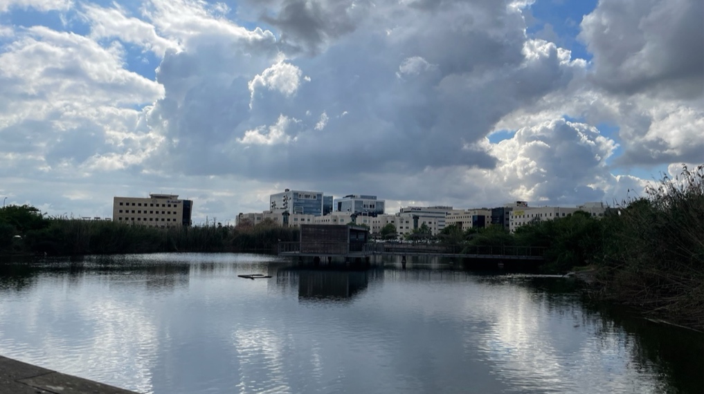 מראה האגם בפארק האקולוגי בהוד השרון ובקצהו הצפון מזרחי אזור תעשייה