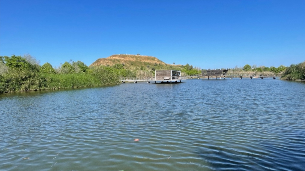 מראה האגם בפארק האקולוגי בהוד השרון - מבט הקצה המזרחי