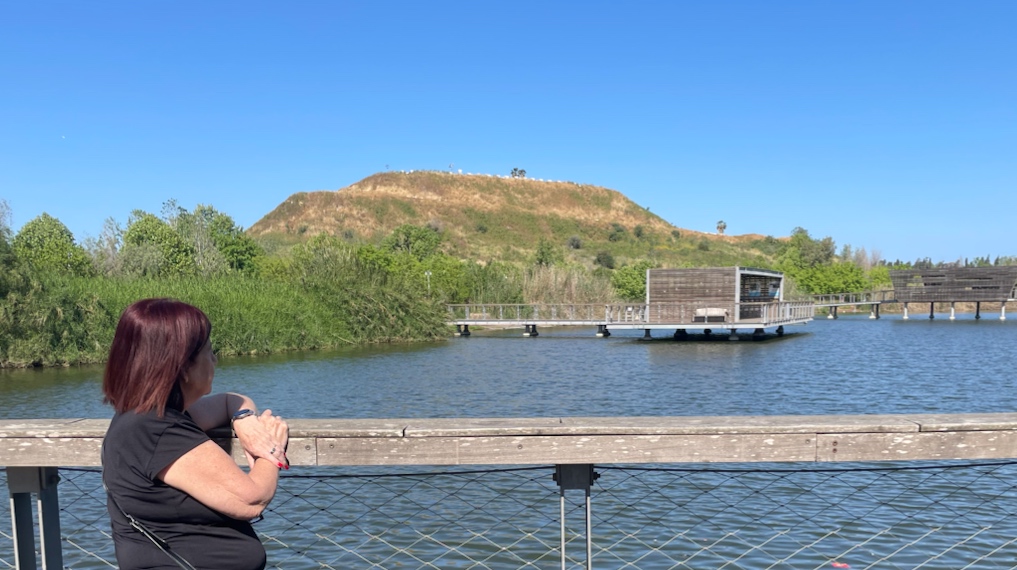 מראה האגם בפארק האקולוגי בהוד השרון - מבט הקצה המזרחי