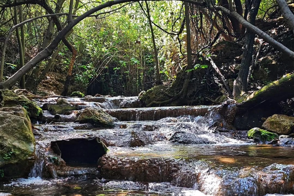 בריכות סודיות בגליל העליון: נחל עמוד עליון בזרימה - צילום: נירית רז