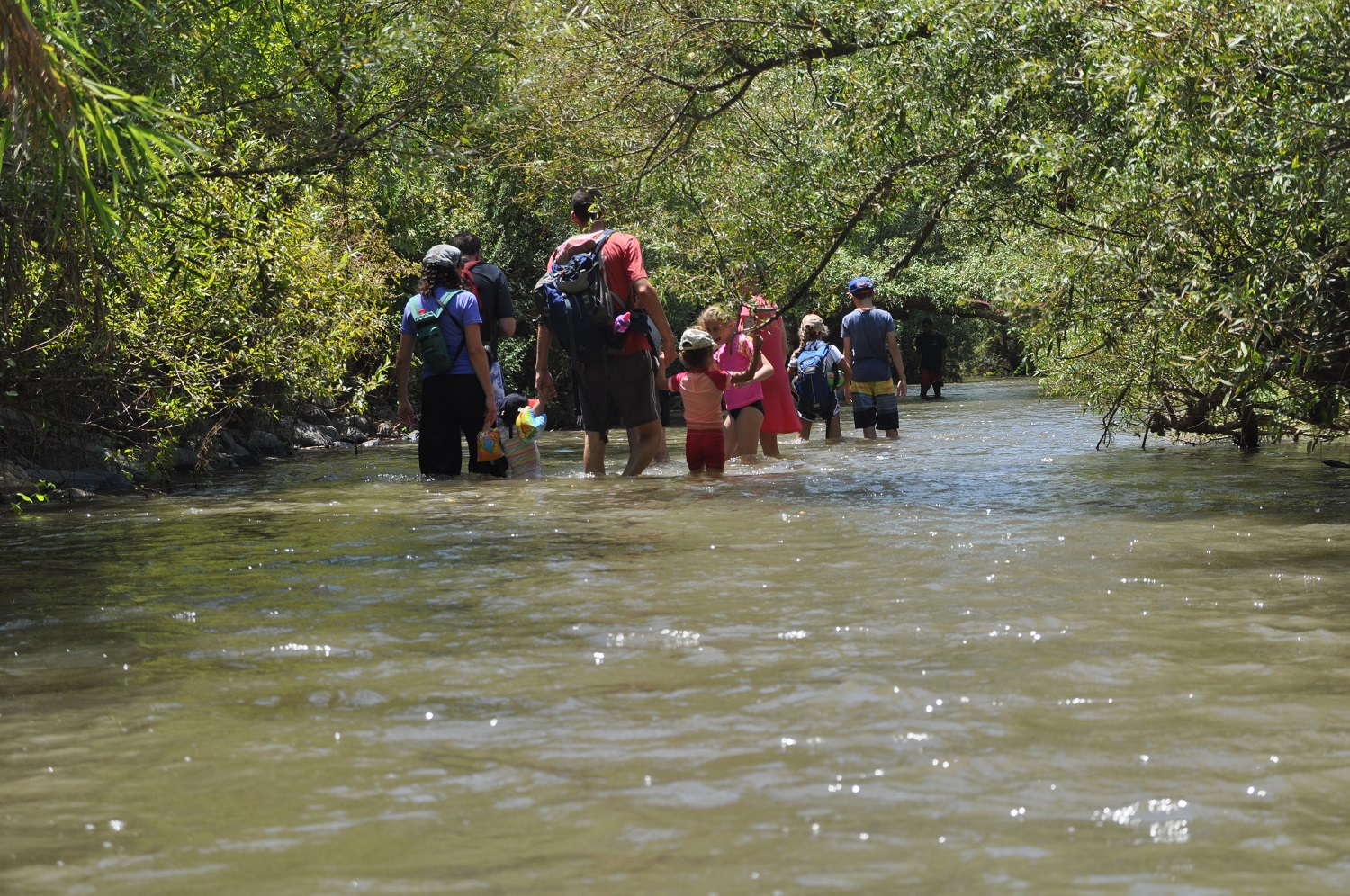 הולכים בתוך המים ב- נחל חרמון תחתון