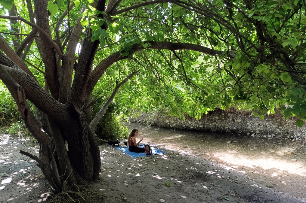 עין עמיקם בנחל תנינים - פינת עץ התות