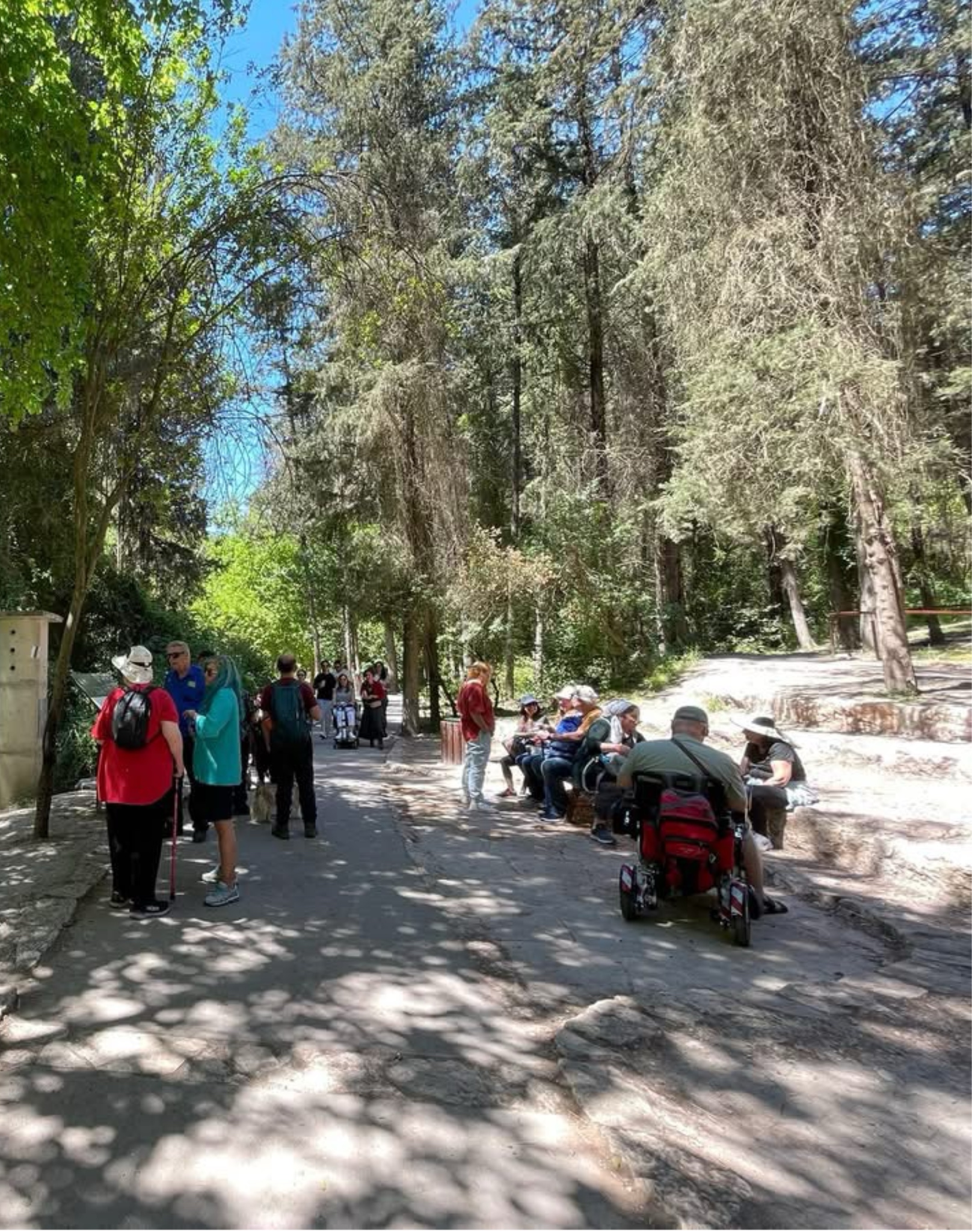 מסלולים נגישים: מסלולי טיול מונגשים בכל הארץ