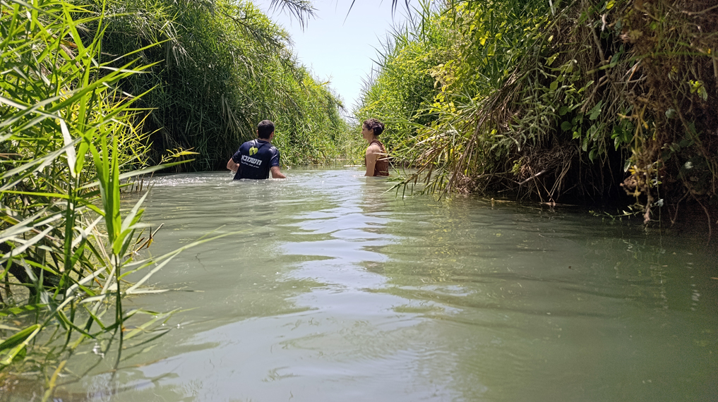מפת הקיץ של ישראל: רטובים קרובים ומפתיעים, מסלולי מים בנחלי מישור החוף. בריכה טבעית בנחל תנינים