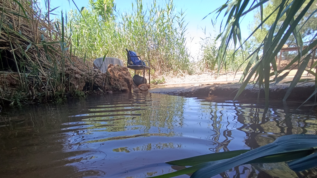 סודות רטובים בעמק הארזים וסביב נחל שורק: מעיין עמק הארזים - מעיין הקנים, מבט מתוך המעיין החוצה