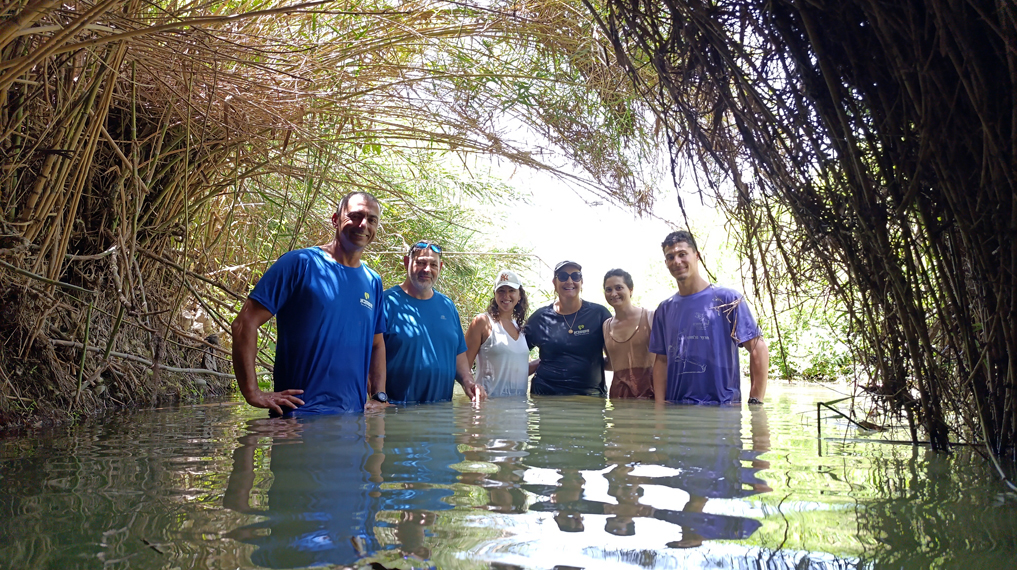 מסלולי מים מפתיעים - מסלולים לאורך נחל תנינים. נהנים בבריכת הגשר תחת הקנים