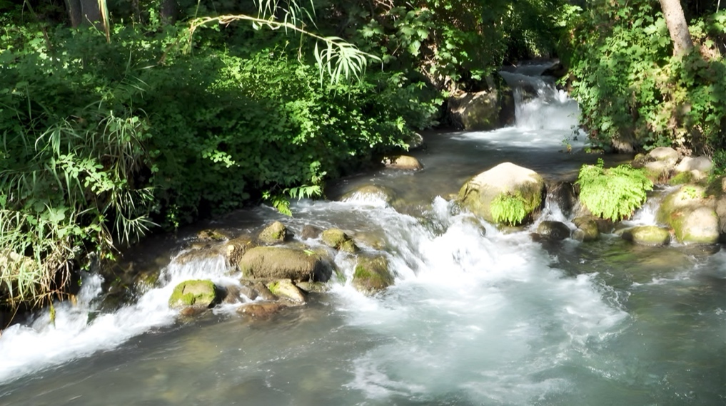 מפת הקיץ של ישראל: אלופי הקיץ - מסלולי מים מושלמים לקיץ בצפון הארץ. זרימת נחל חרמון, הבניאס בחלקו המרכזי
