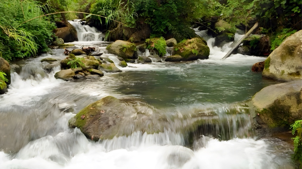 אלופי הקיץ: מסלולי מים מושלמים לקיץ בצפון הארץ - זרימת נחל חרמון, הבניאס בחלקו המרכזי