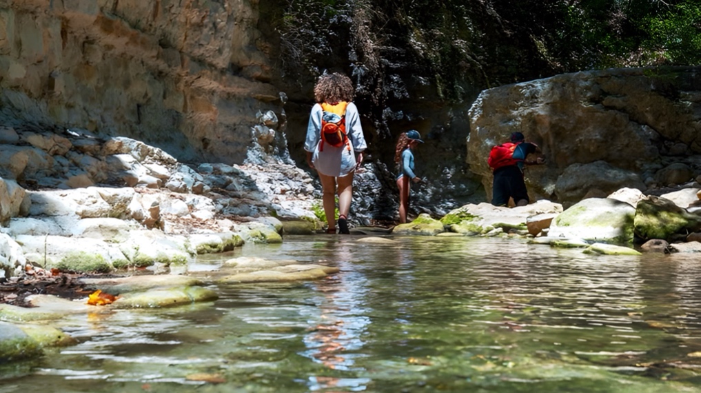 אלופי הקיץ: מסלולי מים מושלמים לקיץ בצפון הארץ - הולכים בנחל כזיב. צילום: ד"ר יואב פלמה