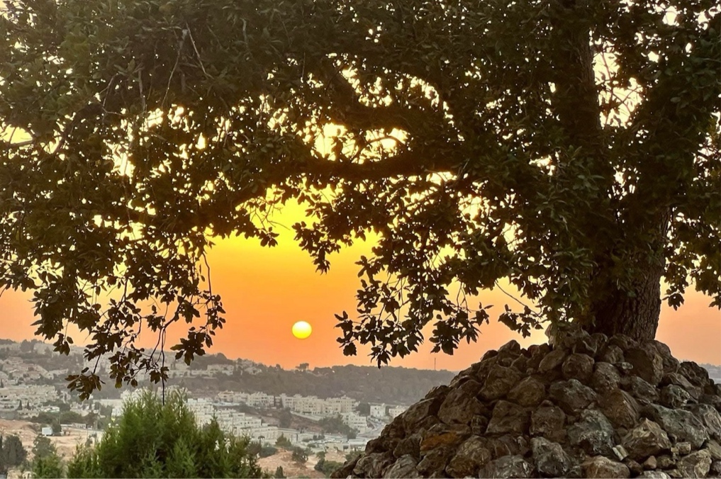 המדריך השלם לטיולי תשרי - מצפה יאיר בשקיעה, תצפית שקיעה קסומה על ירושלים מרמת רחל. מתוך כשהשמש נוגעת באופק: מסלולי זריחה ושקיעה שאסור לפספס. צילום: יוסף אבי יאיר אנגל (ג'וחא)