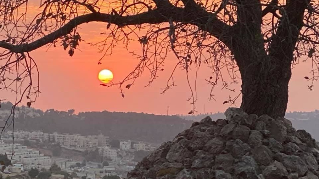 תצפית שקיעה קסומה על ירושלים ממצפה יאיר ברמת רחל. צילום: יוסף אבי יאיר אנגל (ג'וחא)