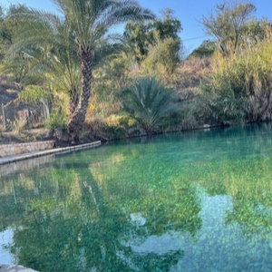 עמק המעיינות במיטבו – מסלולי מים קסומים לחגים ולסתיו