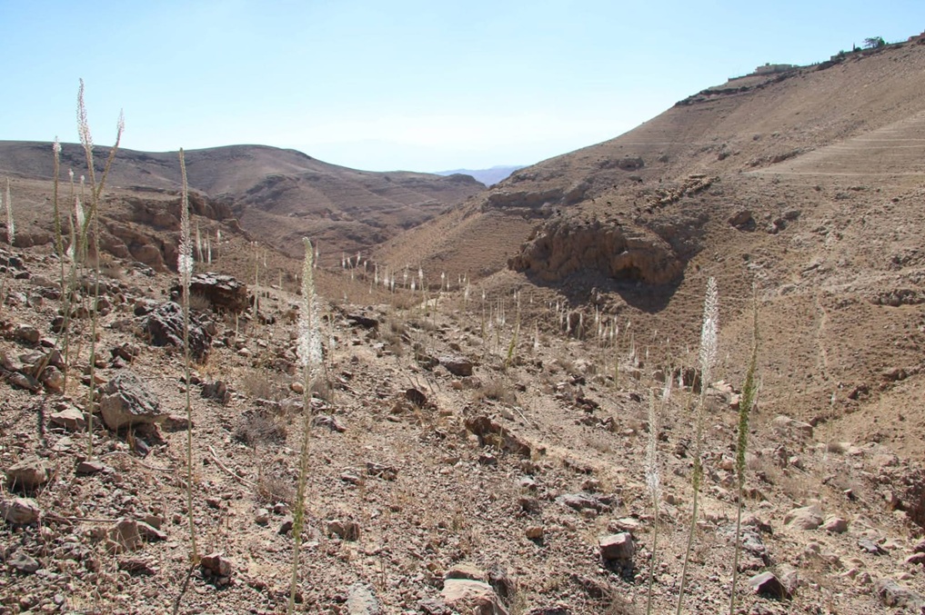 מסלולים חדשים לשנה חדשה: שביל החצבים ערד, חצבים בנחל טביה