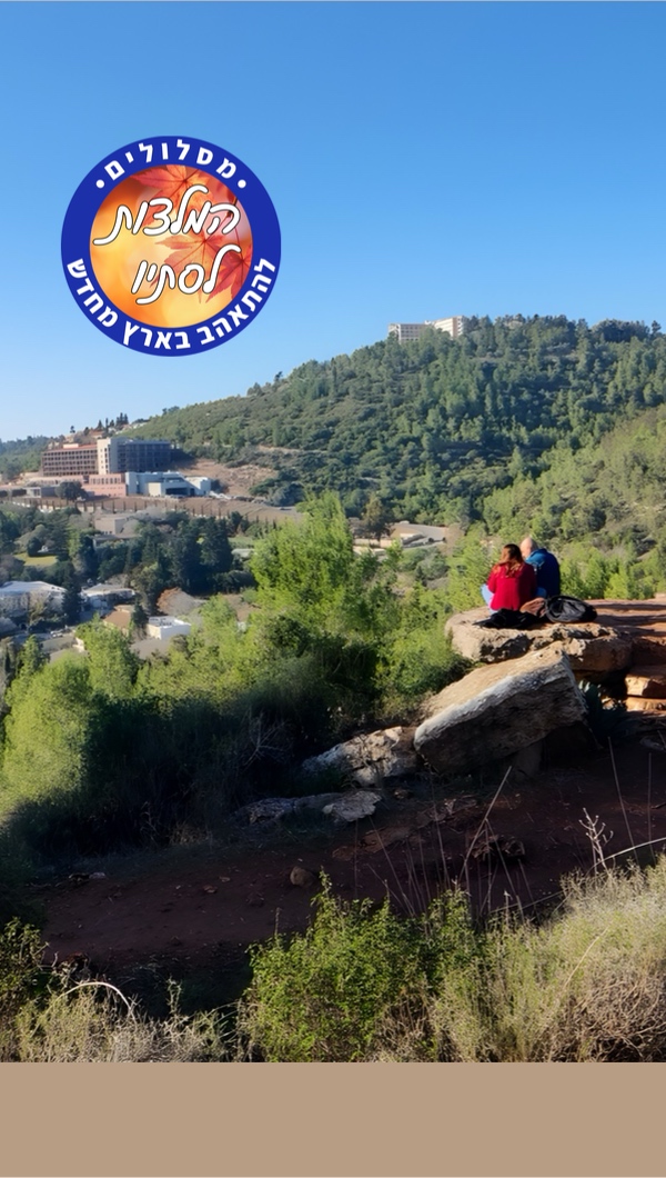 תצפיות מרגשות לימי הסתיו