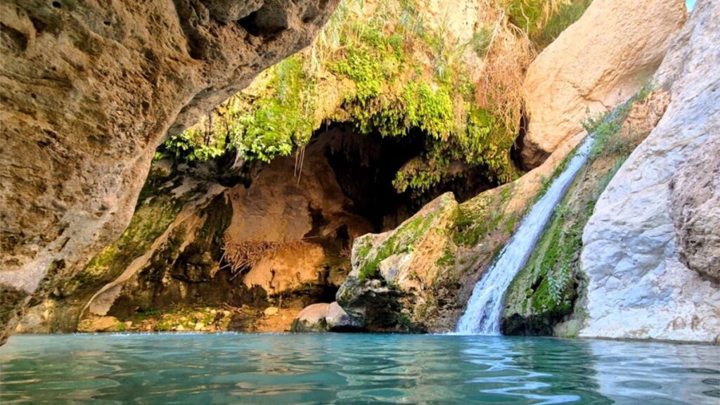 מים בלב המדבר 2025: המפל והבריכה במערת דודים בנחל דוד עליון.  צילום: ישי רוזנצווייג