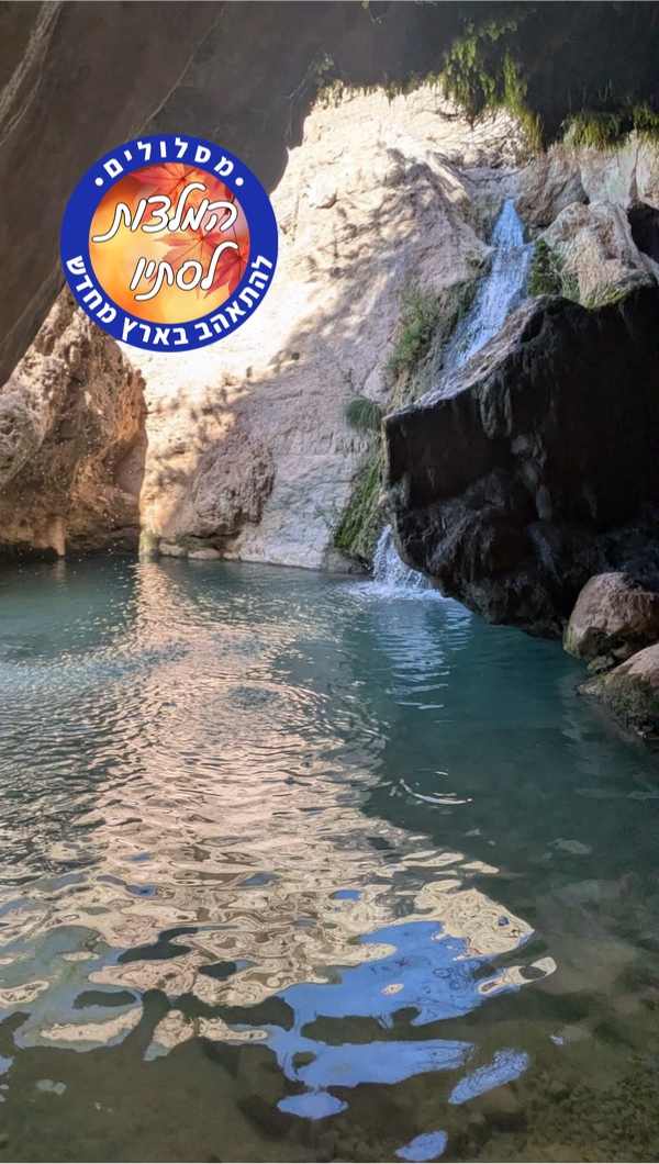 בריכת דודים והמפל הנסתר – נחלים, מפלים ובריכות שחזרו לחיים, מים בלב המדבר 2025. צילום: ישי רוזנצווייג